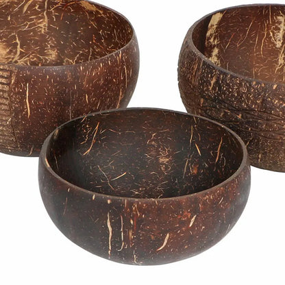 Coconut shell food container set