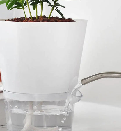 Hydro Bloom™| Automatic Water-Absorbing Flower/Herb Pot