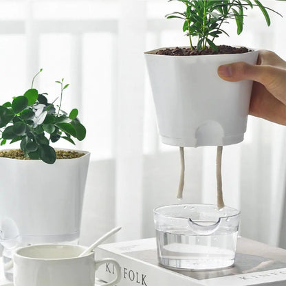 Hydro Bloom™| Automatic Water-Absorbing Flower/Herb Pot