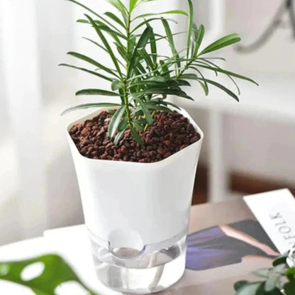 Hydro Bloom™| Automatic Water-Absorbing Flower/Herb Pot